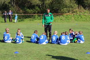 爱游戏下载-非洲足球:新兴力量崛起背后的秘密,但非洲足球依然前景难料